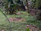 Mount Lavinia : 25P Land Sale (Discounted Price) at Off Templers road