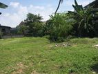 Mount Lavinia : 51 perches commercial Land for Sale