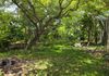 Mount Lavinia - Land for Long Term lease - View 3