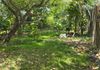 Mount Lavinia - Land for Long Term lease - View 2