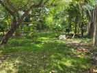 Mount Lavinia - Land for Long Term lease