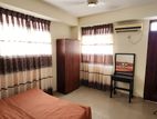 MOUNT LAVINIA LUXURY APARTMENT FOR RENT