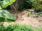 Mount Lavinia Samudrasanna Rd - 20 perches Land with House for Sale