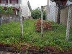Mount Lavinia Sea Side 10 Perches Land For Sale