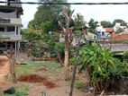 Mount Lavinia - Temple Road Bare land for Sale
