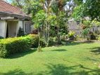 Mount Lavniya 39 perc Land with House For sale