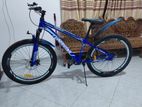 Mountain 26'' Bicycle