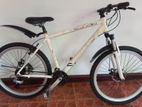 Mountain Alloy Bicycle