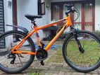 Mountain Bicycle (Bentini)