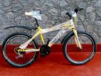 Mountain Bicycle (Brand new)