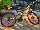 Mountain Bicycle