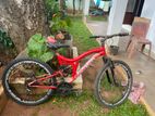 Mountain Bicycle