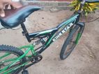 Mountain Bicycle