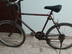 Mountain Bicycle