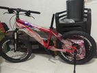 Mountain Bicycle