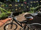 Mountain Bicycle