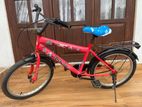 Mountain Bicycle
