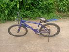 Mountain Bicycle
