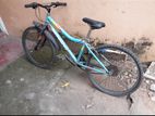 Mountain bicycle