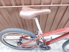 Mountain bicycle .