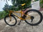 Mountain Bicycle