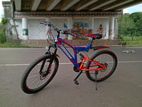 Mountain Bicycle
