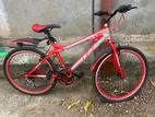 Mountain Bicycle