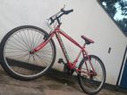 Mountain Bicycle