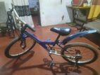 Mountain. Bicycle
