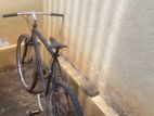 Mountain Bicycle