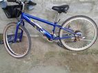 Mountain Bicycle