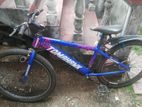 Mountain Bicycle