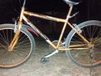 Mountain Bicycle