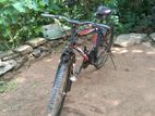 Mountain Bicycle