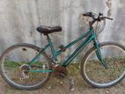 Mountain Bicycle