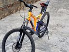 Mountain Bicycle