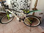 mountain Bicycle