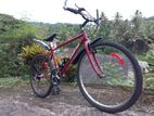 Mountain Bicycle