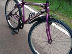 Mountain Bicycle