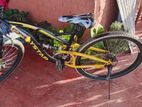 Mountain Bicycle