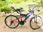 Mountain Bicycle