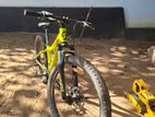 Mountain Bicycle