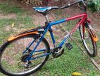 Mountain Bicycle