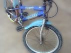 Mountain Bicycle (Used)