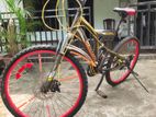 Mountain Bicycle