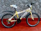 Mountain Bicycles (Brand New)