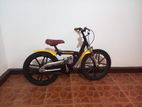 Mountain Bicycle (size-18)