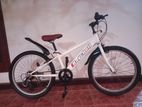 Mountain Bicycle (size-22)