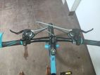 Mountain Bicycle