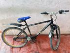 Mountain Bicycle